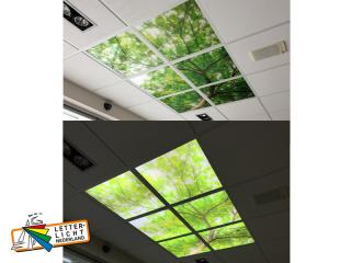 Plafond led verlichting bomen, daglicht donker